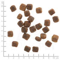 wolfsblut_wide_plain_senior