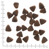 wolfsblut_jack_rabbit_adult