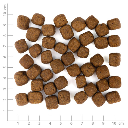wb_kroketten_trockenfutter_GreyPeak