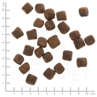 wolfsblut_dark_forest_adult