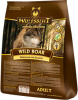 Wild_Boar_Adult8x