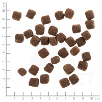 wolfsblut_wild_duck_puppy